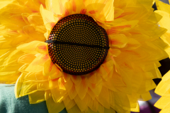 OKS_4402